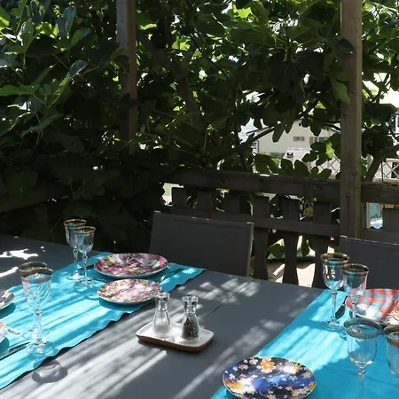 Le Cabinet De Curiosités De Natacha 3*